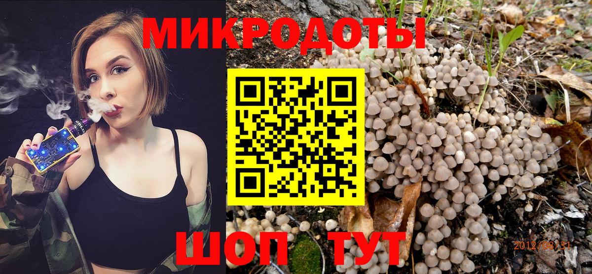Псилоцибиновые грибы Psilocybine cubensis Уссурийск